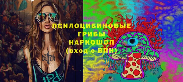 прущие грибы Янаул