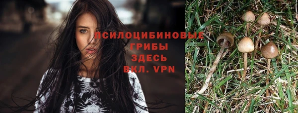 прущие грибы Янаул