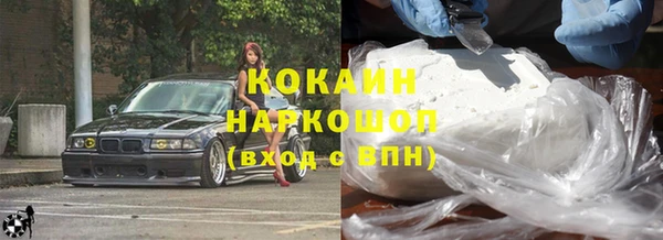 прущие грибы Янаул