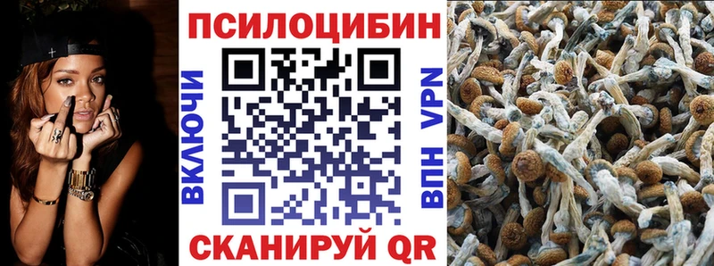 Галлюциногенные грибы прущие грибы  Благовещенск 