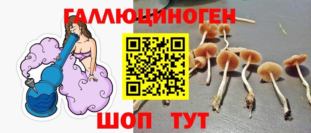 Псилоцибиновые грибы Cubensis Благовещенск