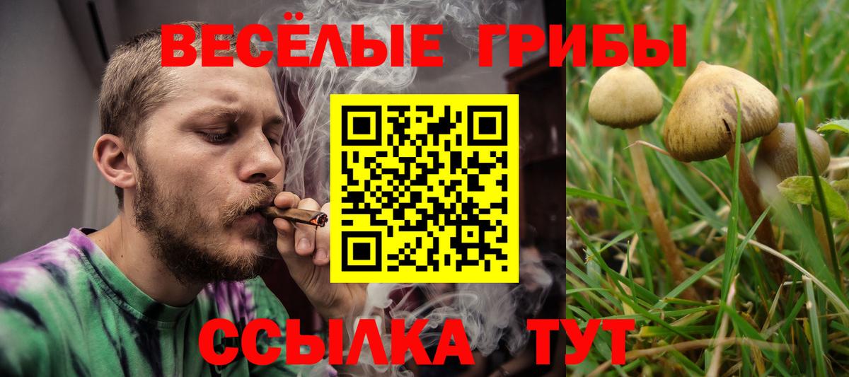 Благовещенск  Галлюциногенные грибы GOLDEN TEACHER  Вход с VPN 